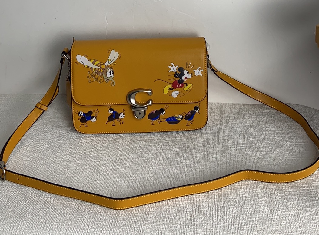 Handbags Coach CH750 size:23*14*5 - vstockx