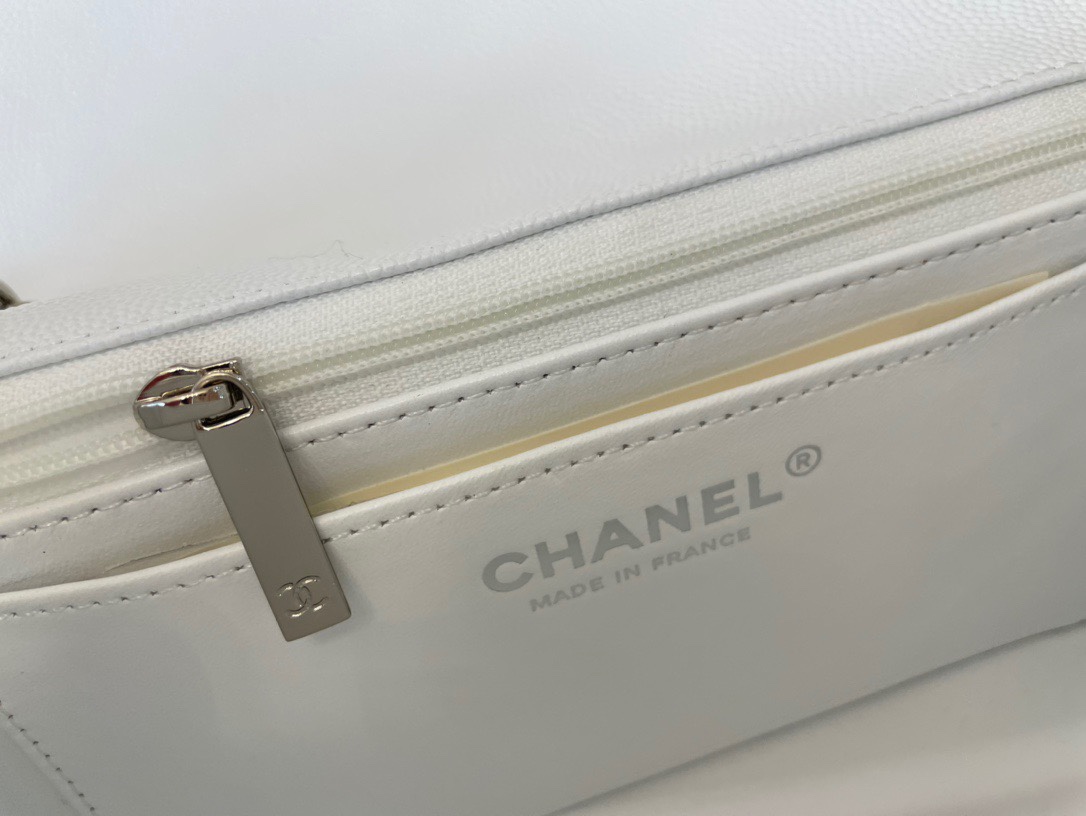 Handbag Chanel 01116 size 20 cm - vstockx