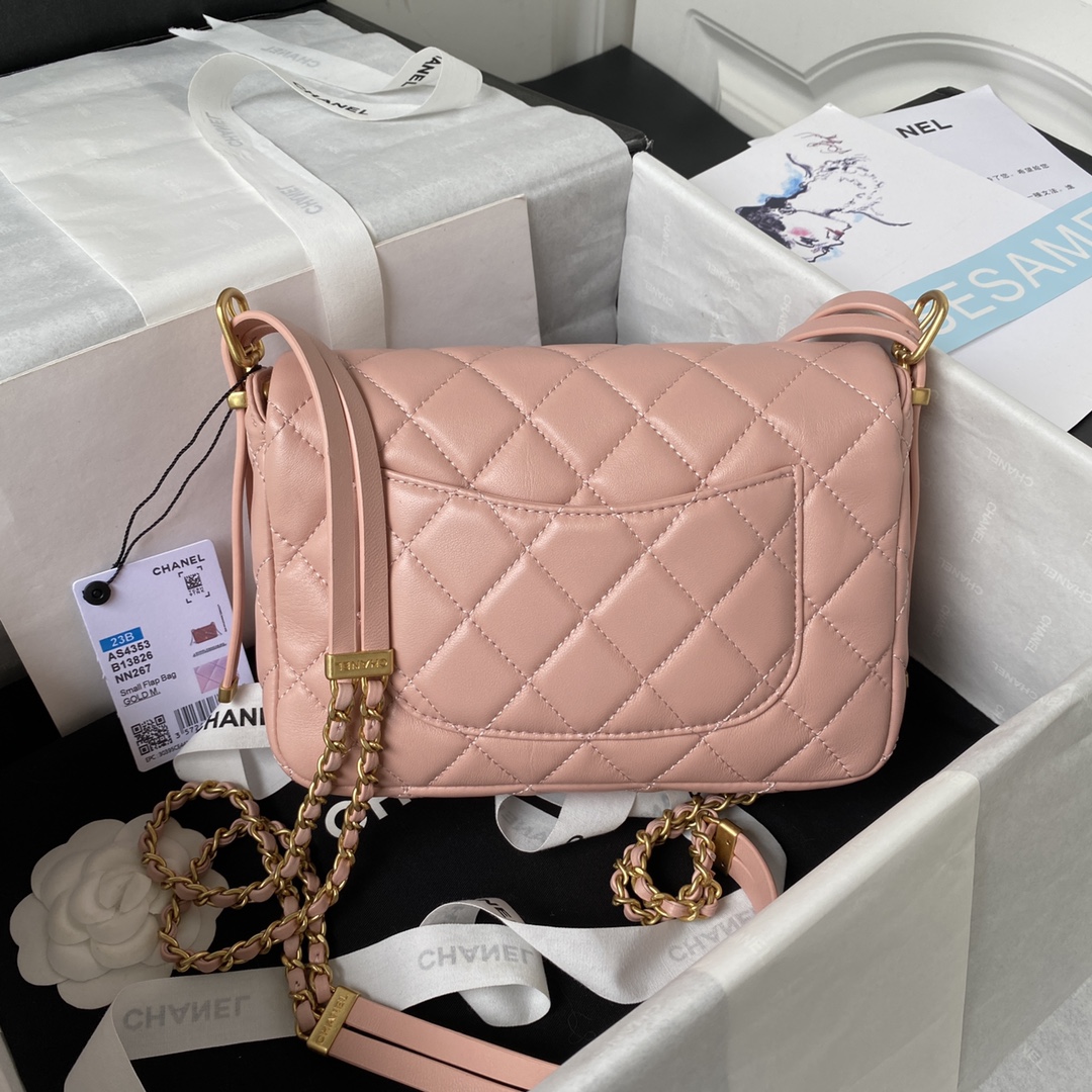 Handbags Chanel AS4353 size:15X21.5X7 cm - vstockx