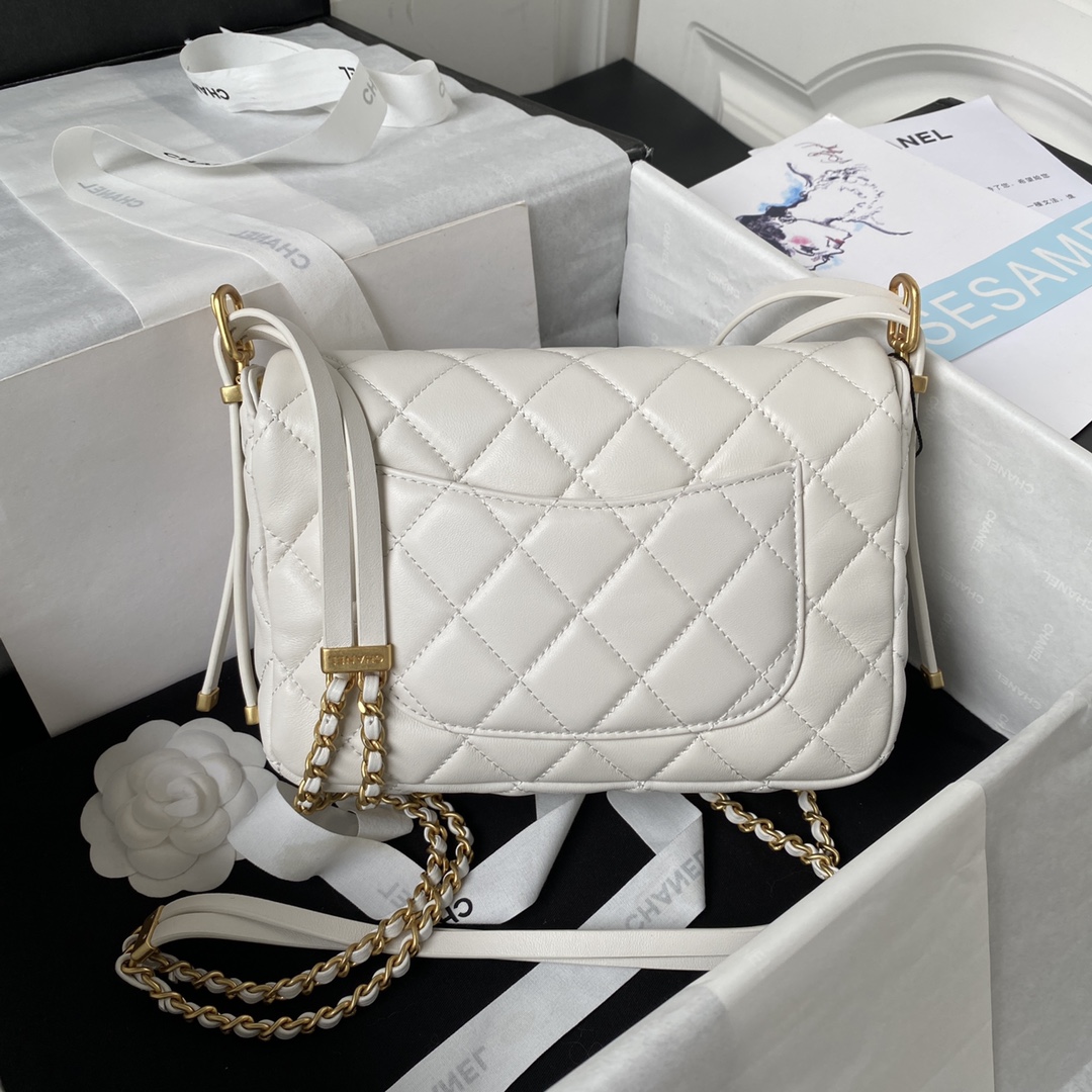 Handbags Chanel AS4353 size:15X21.5X7 cm - vstockx