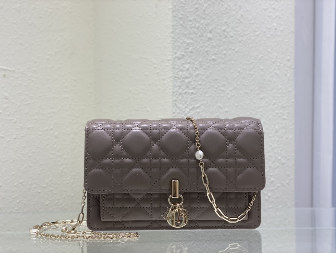Handbags Dior 3105 size:19.5 x 12.5 x 5 cm - vstockx