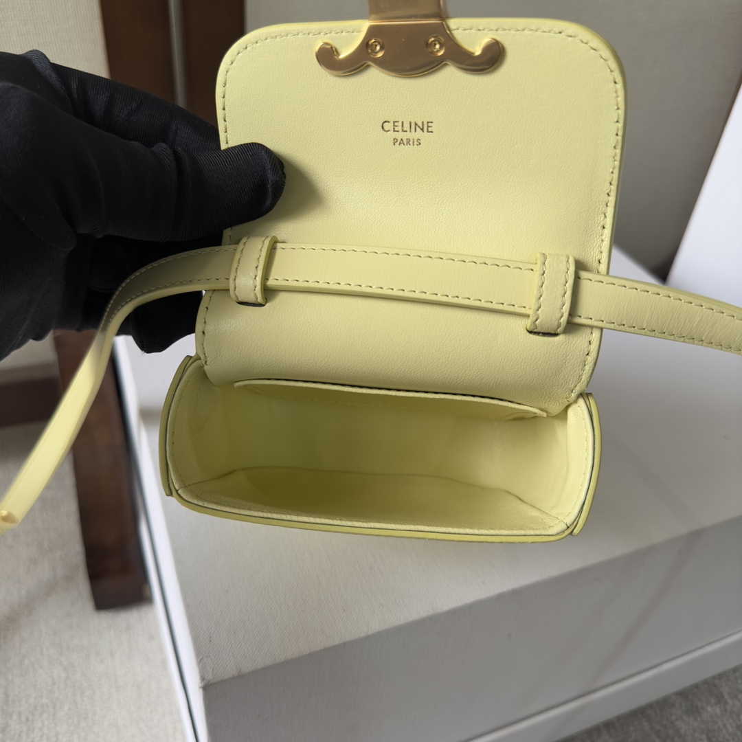 Handbags CELIN 101512 size:11  4  8 cm - vstockx