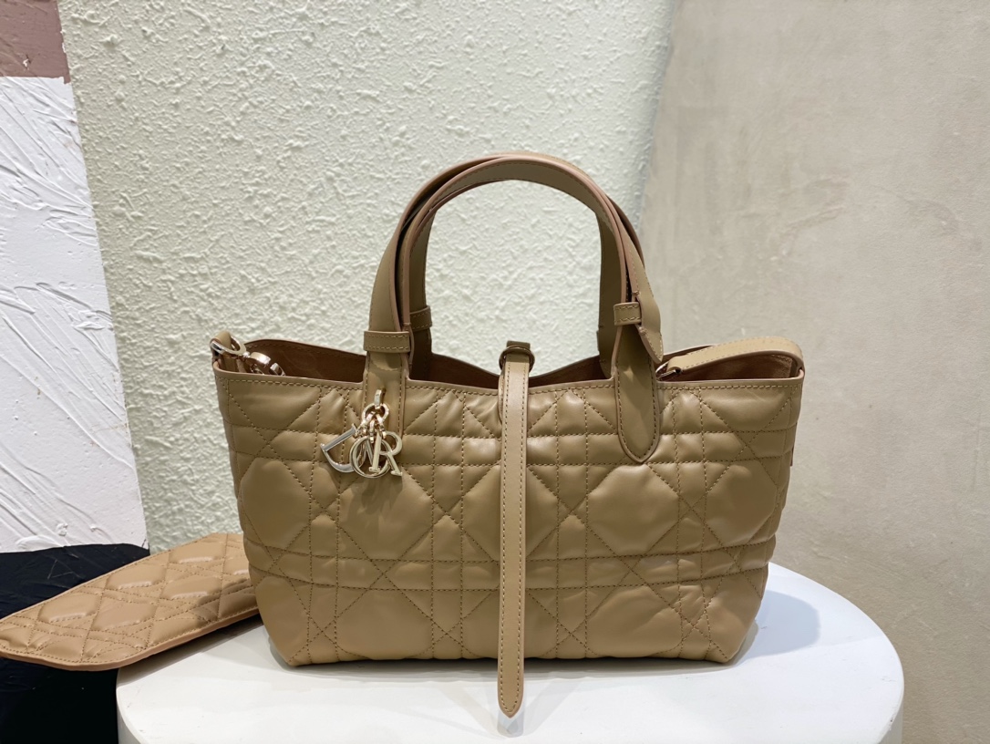 Handbags Dior 6230 size  23*15*15 cm - vstockx