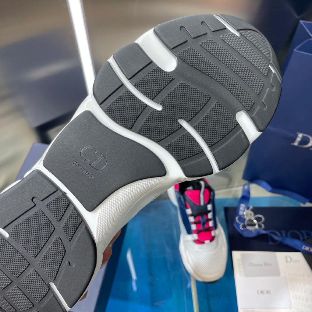 Dior B22 Pink Blue - vstockx