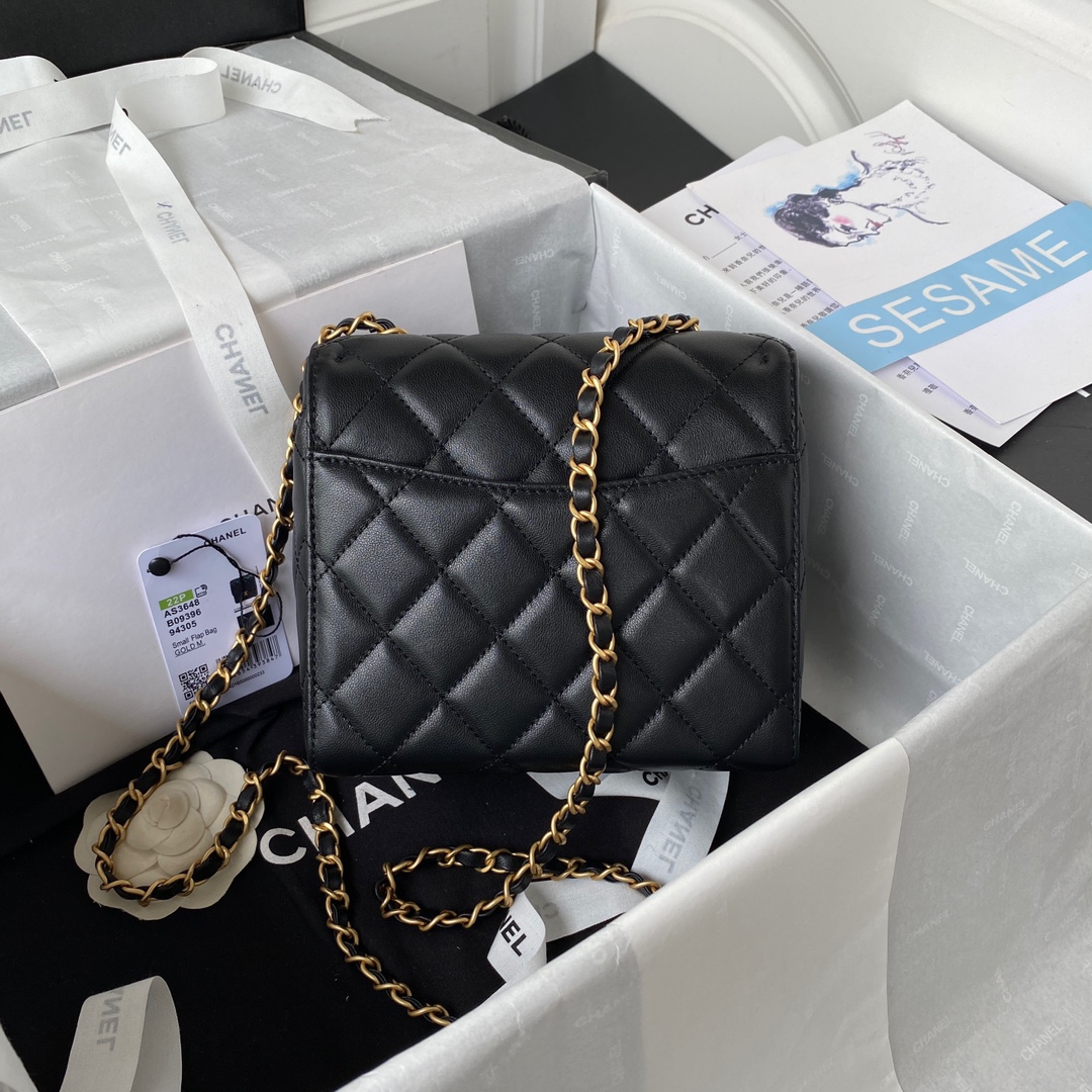 Handbag Chanel AS3648 size 17X14.5X7.5 cm - vstockx