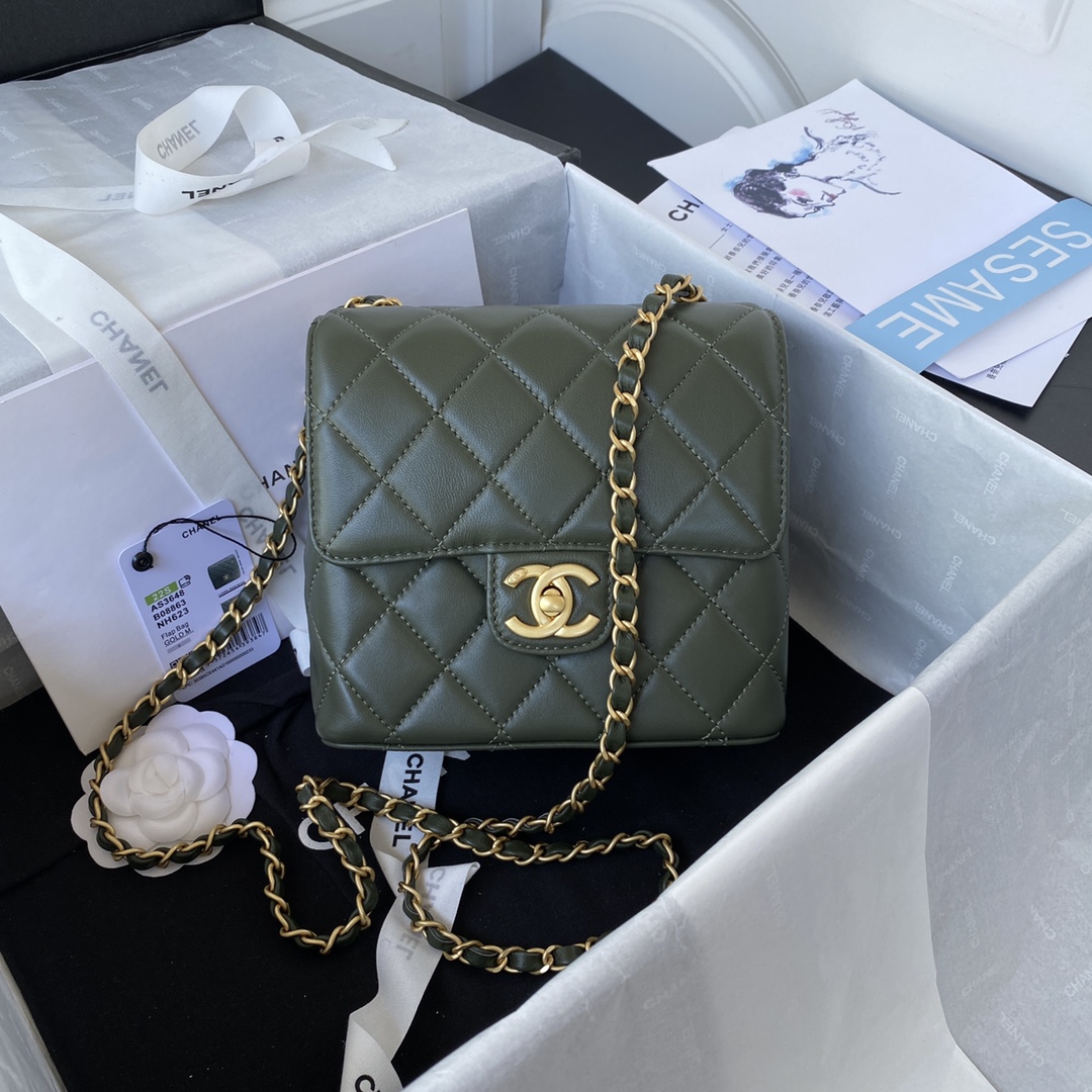Handbag Chanel AS3648 size 17X14.5X7.5 cm - vstockx