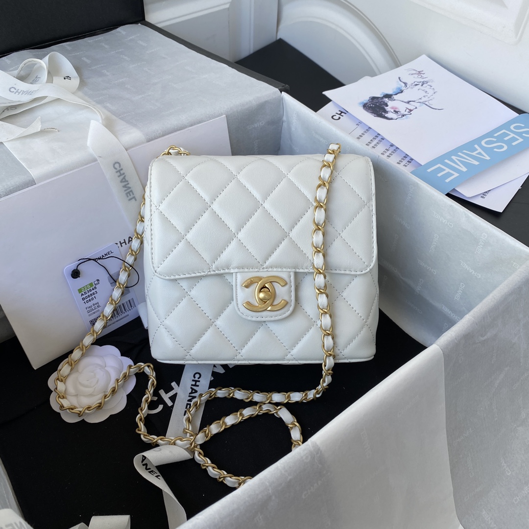 Handbag Chanel AS3648 size 17X14.5X7.5 cm - vstockx
