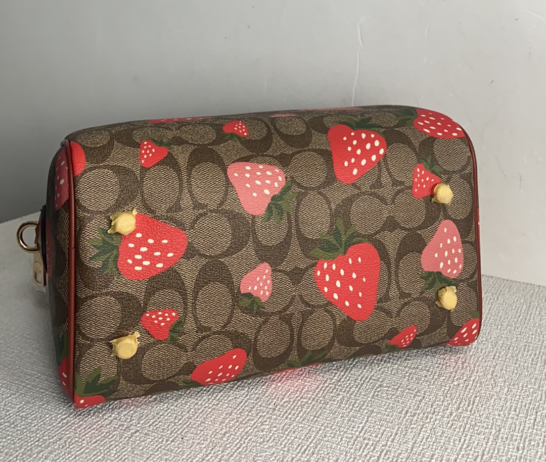 Handbags Coach CH511 size:24*18*10 - vstockx