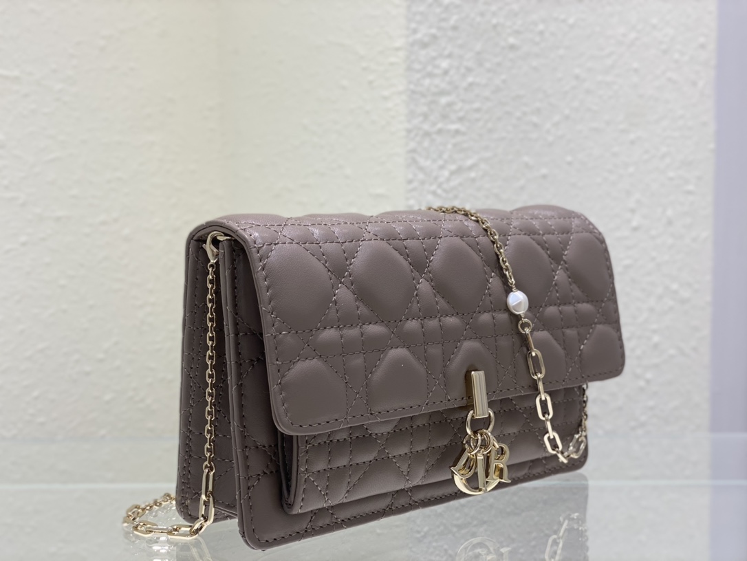 Handbags Dior 3105 size:19.5 x 12.5 x 5 cm - vstockx