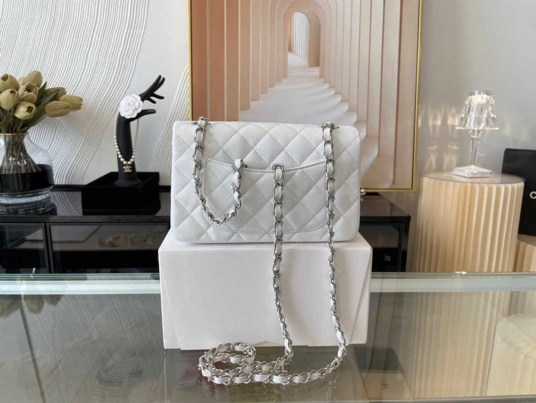 Handbag Chanel 01116 size 20 cm - vstockx