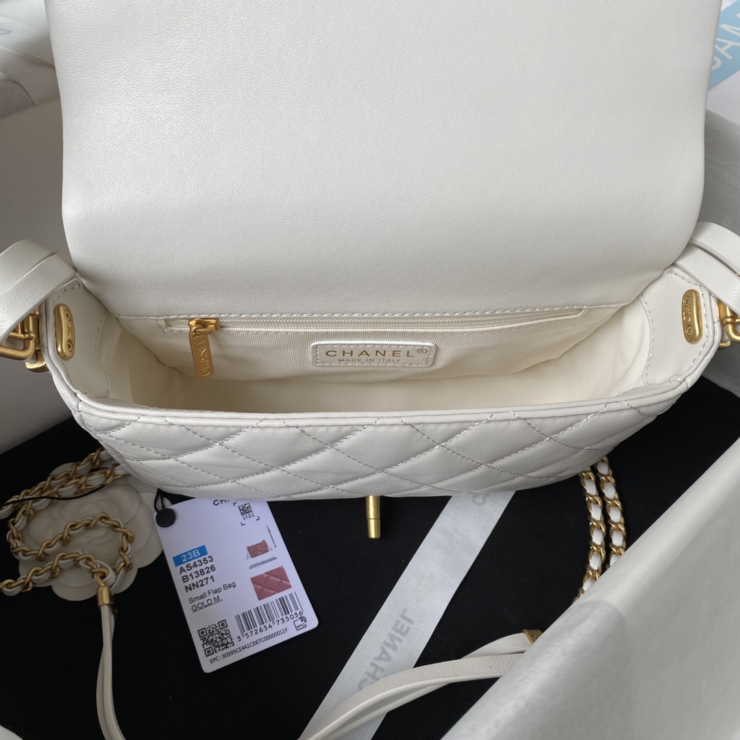 Handbags Chanel AS4353 size:15X21.5X7 cm - vstockx