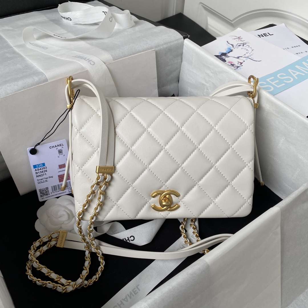 Handbags Chanel AS4353 size:15X21.5X7 cm - vstockx