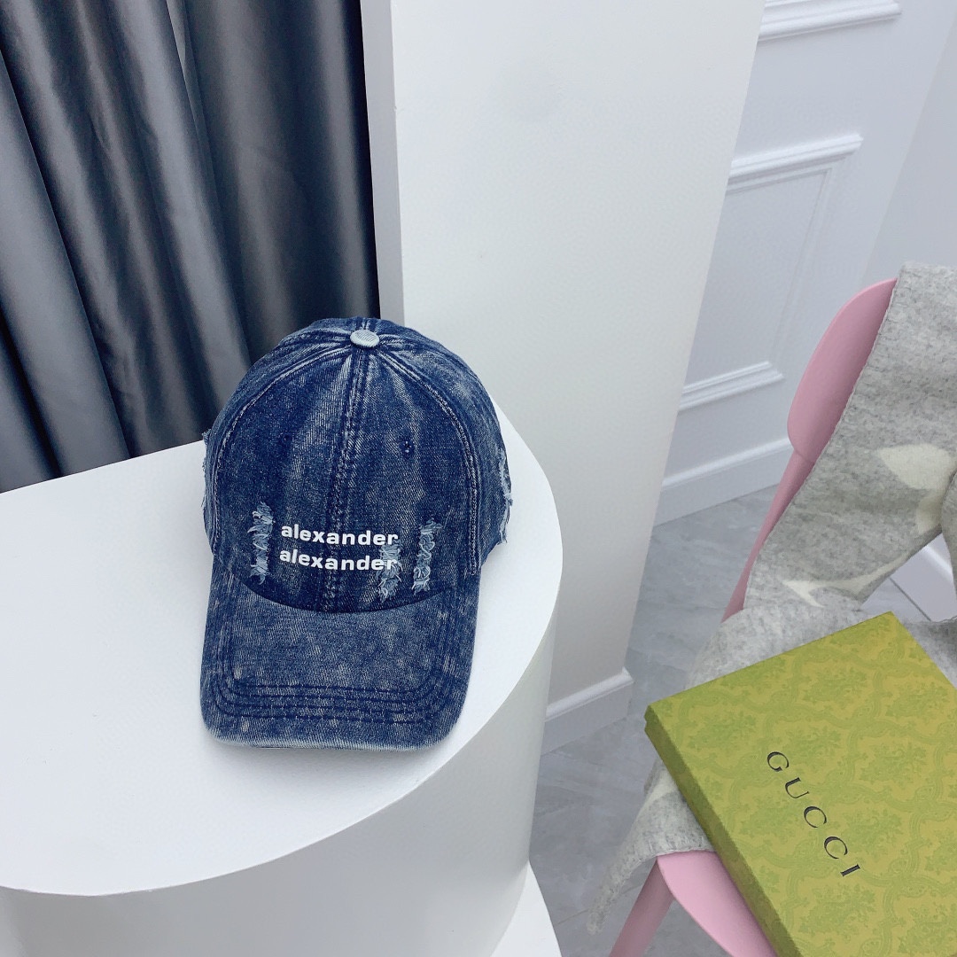 Streetwear Hat Alexander wang 328886 - vstockx