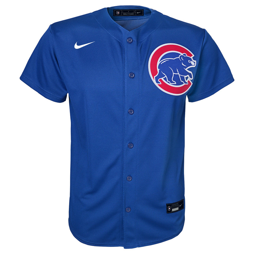 Youth Dansby Swanson Chicago Cubs Royal Blue Alternate Replica Jersey - vstockx