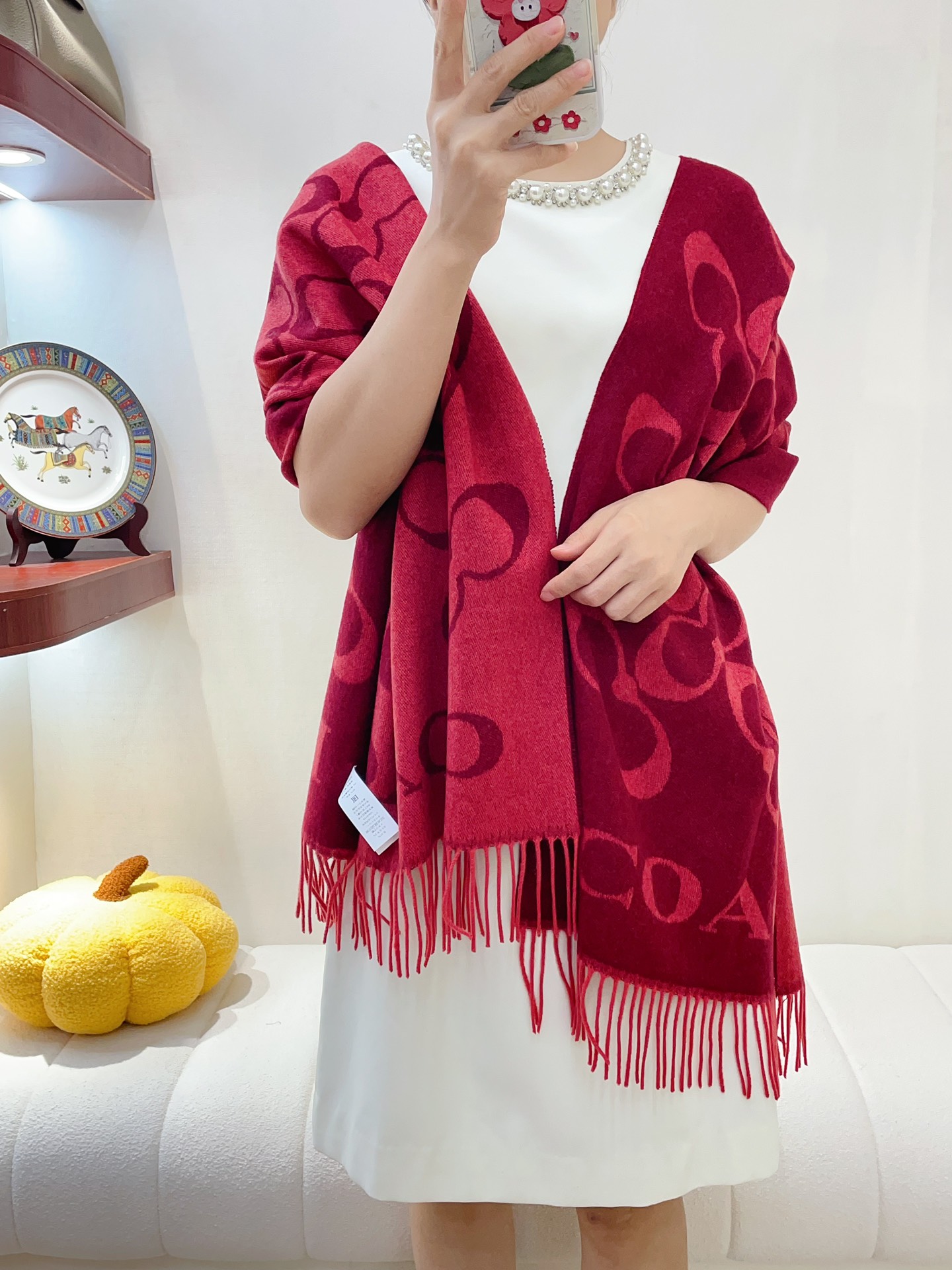 Streetwear Scarf COACH 328769 SIZE:195×53cm - vstockx