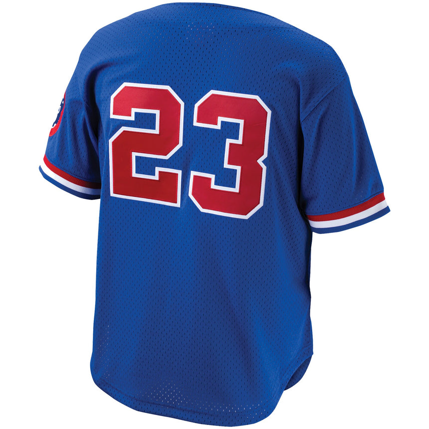Men's Chicago Cubs Ryne Sandberg Mitchell & Ness Royal 1996 Cooperstown Collection Mesh Batting Practice Button-Up Jersey - vstockx