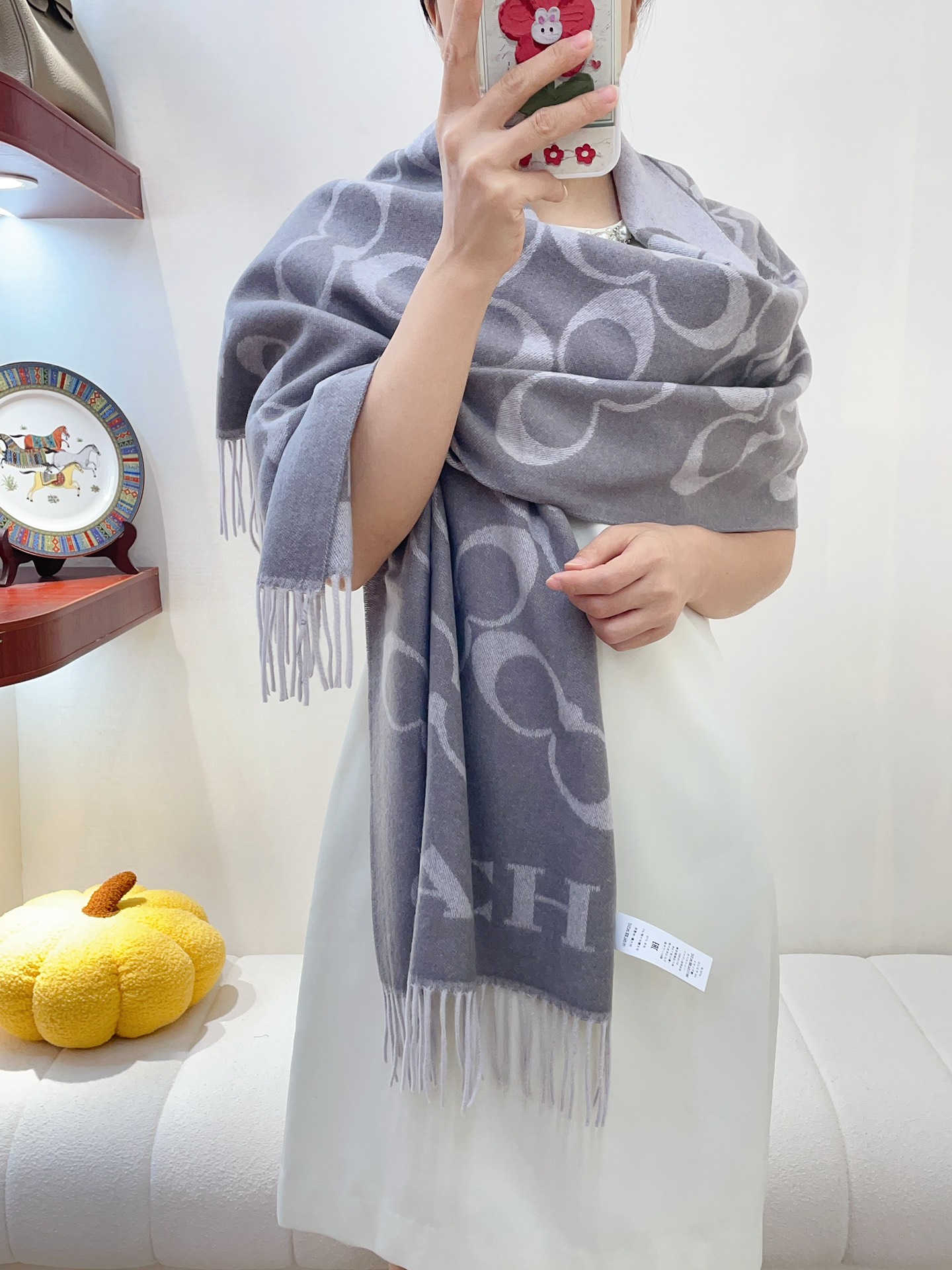 Streetwear Scarf COACH 328768 SIZE:195×53cm - vstockx