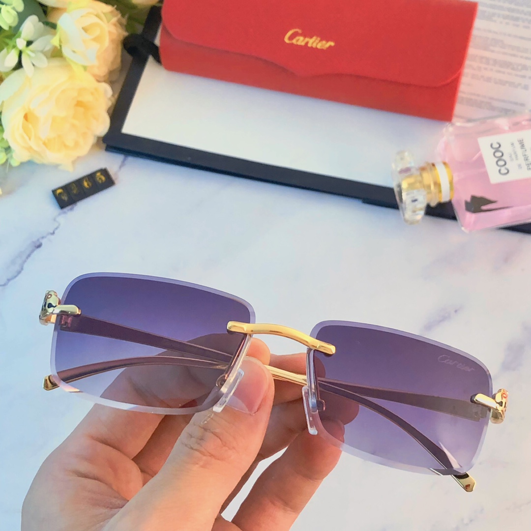 Sunglasses Cartier sunglasses - vstockx