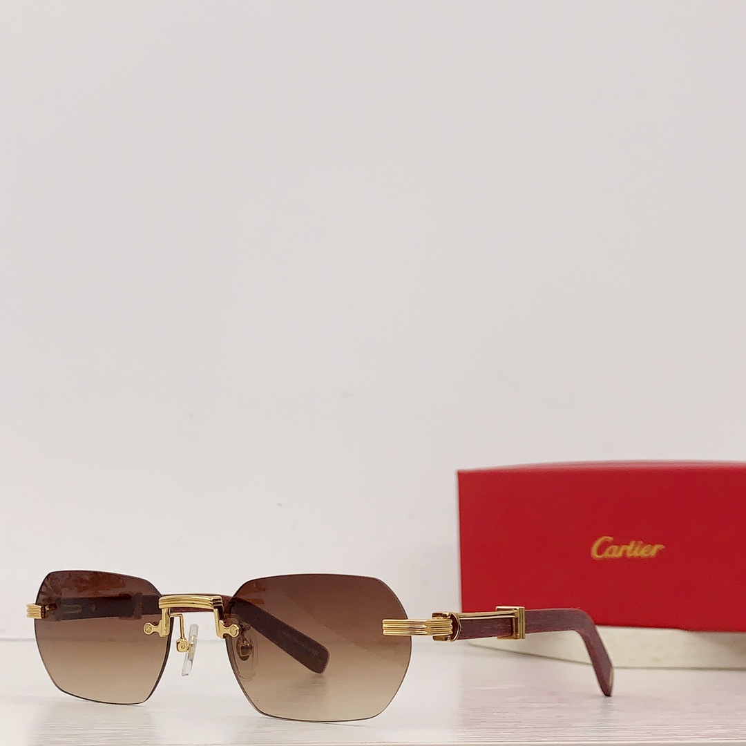 Sunglasses Cartier CT0362S size��55-21-145 - vstockx