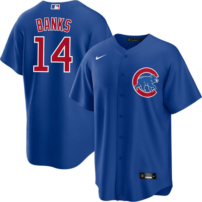 Men's Chicago Cubs Ernie Banks Replica Alternate Jersey - Royal - vstockx