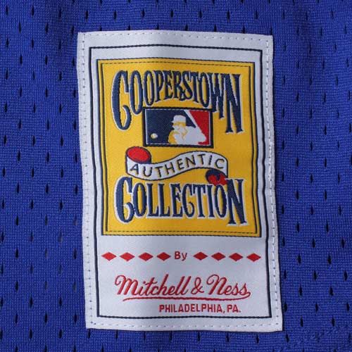 Joe Carter Toronto Blue Jays Mitchell & Ness 1993 Authentic Cooperstown Collection Mesh Batting Practice Jersey - Royal - vstockx