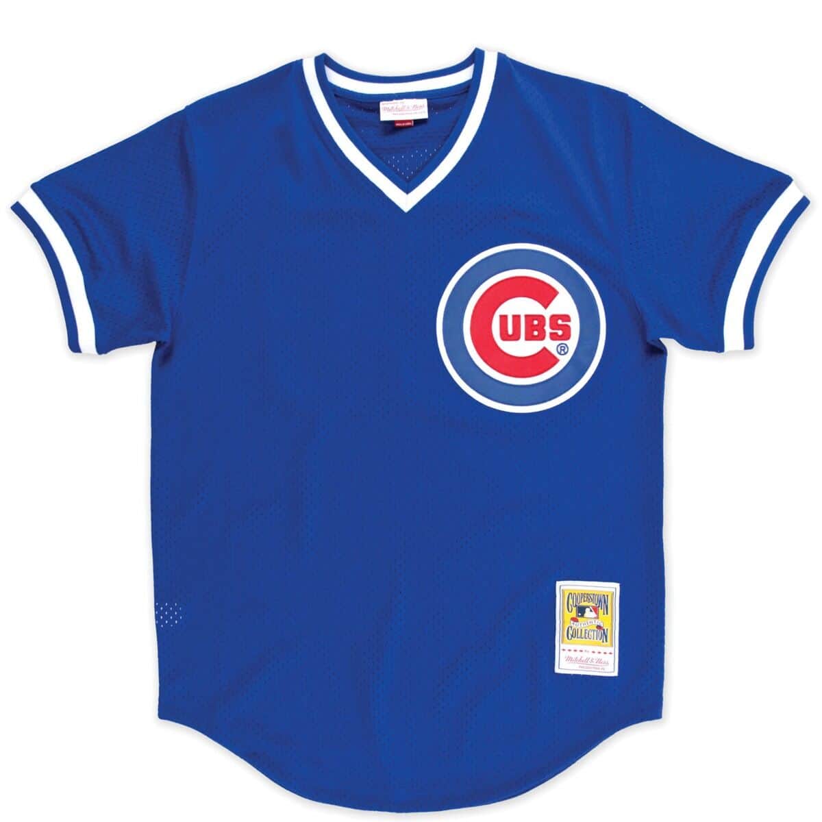 Authentic Mesh BP Jersey Chicago Cubs 1984 Ryne Sandberg - vstockx