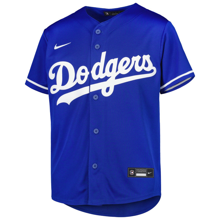 Youth Freddie Freeman Los Angeles Dodgers Blue Alternate Replica Player Jersey - vstockx