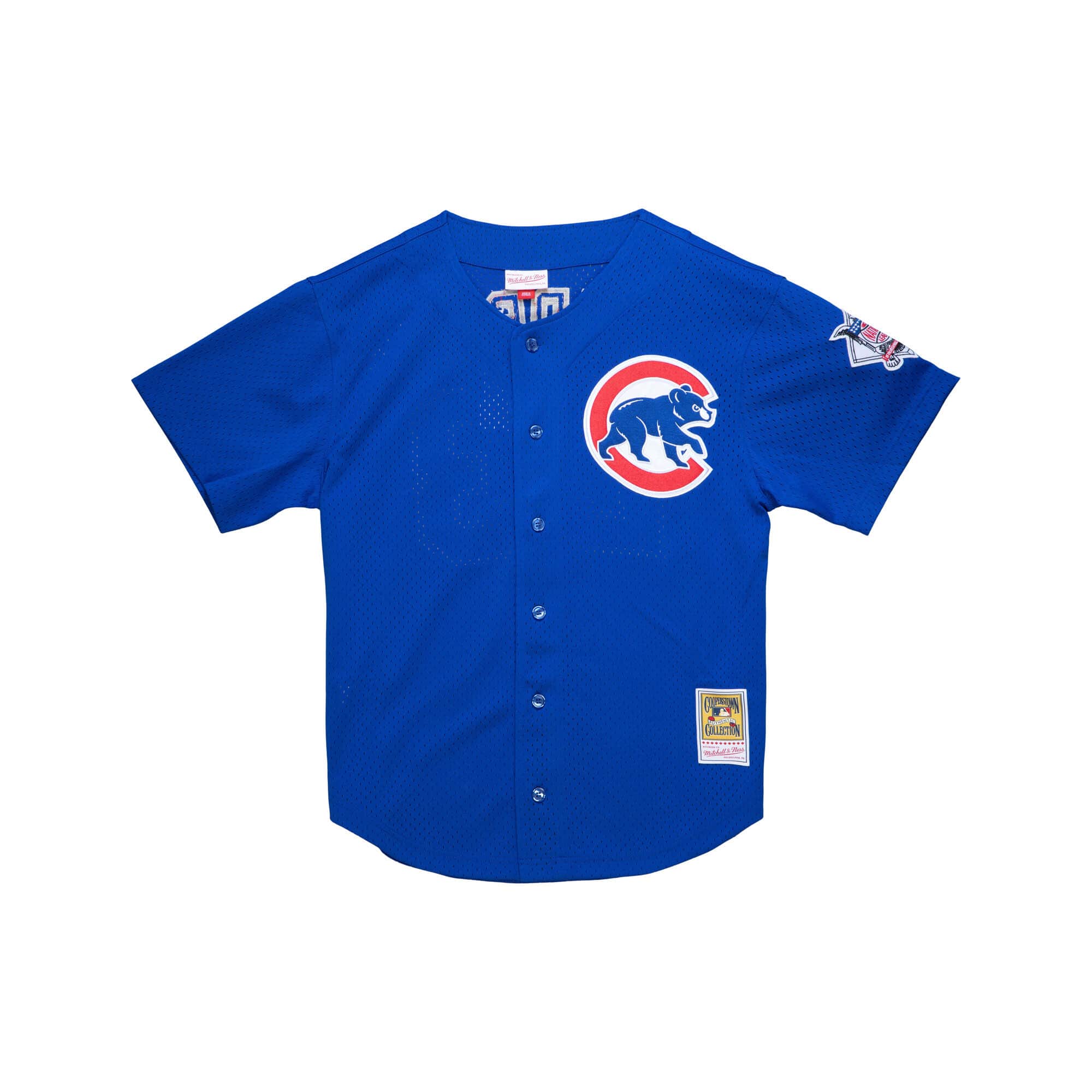 Authentic Ryne Sandberg Chicago Cubs 1997 BP Jersey - vstockx
