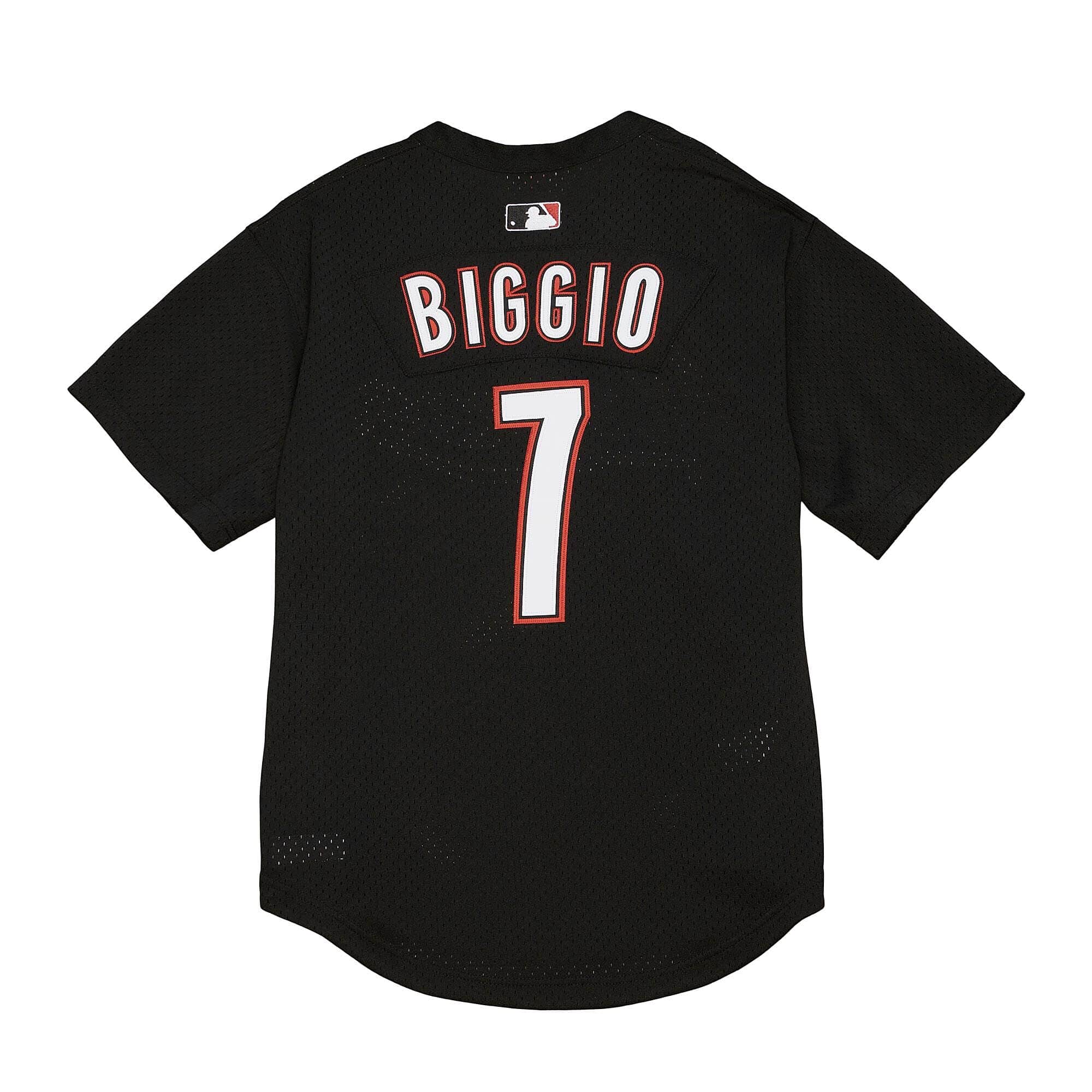 Authentic Craig Biggio Houston Astros 2002 BP Jersey - vstockx
