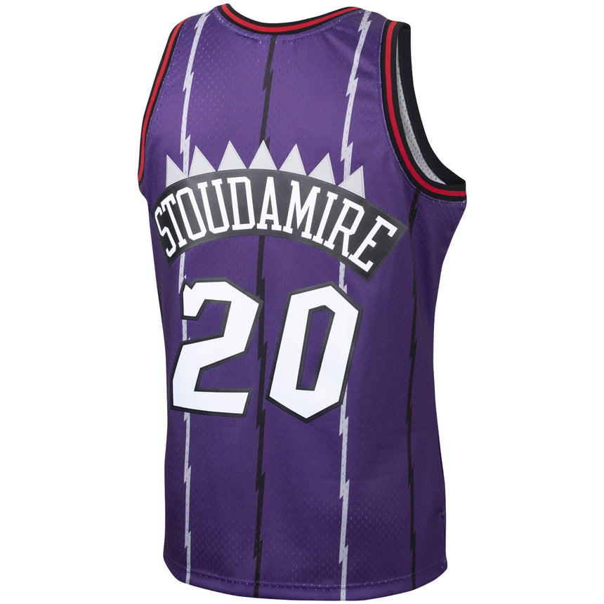 Men's Damon Stoudamire Toronto Raptors Mitchell & Ness 1995-96 Hardwood Classics Swingman Jersey - Purple - vstockx