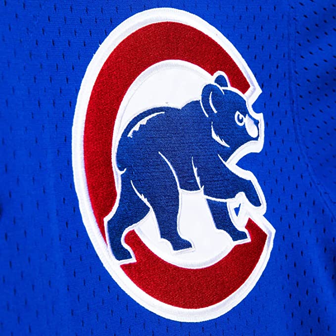 Youth Chicago Cubs Ryne Sandberg Mitchell & Ness Royal Cooperstown Collection Mesh Batting Practice Jersey - vstockx