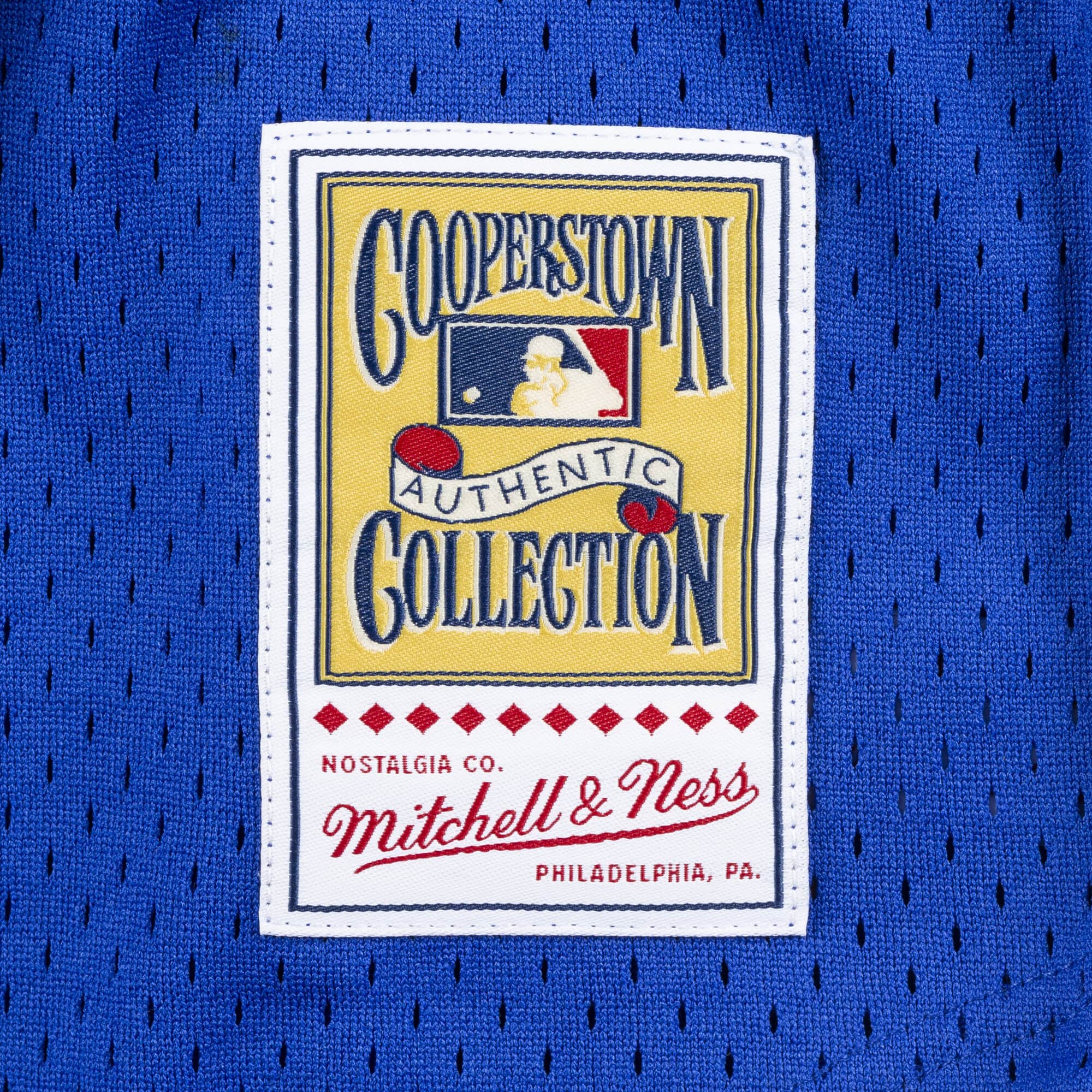 Authentic Mesh BP Jersey Chicago Cubs 1996 Ryne Sandberg - vstockx