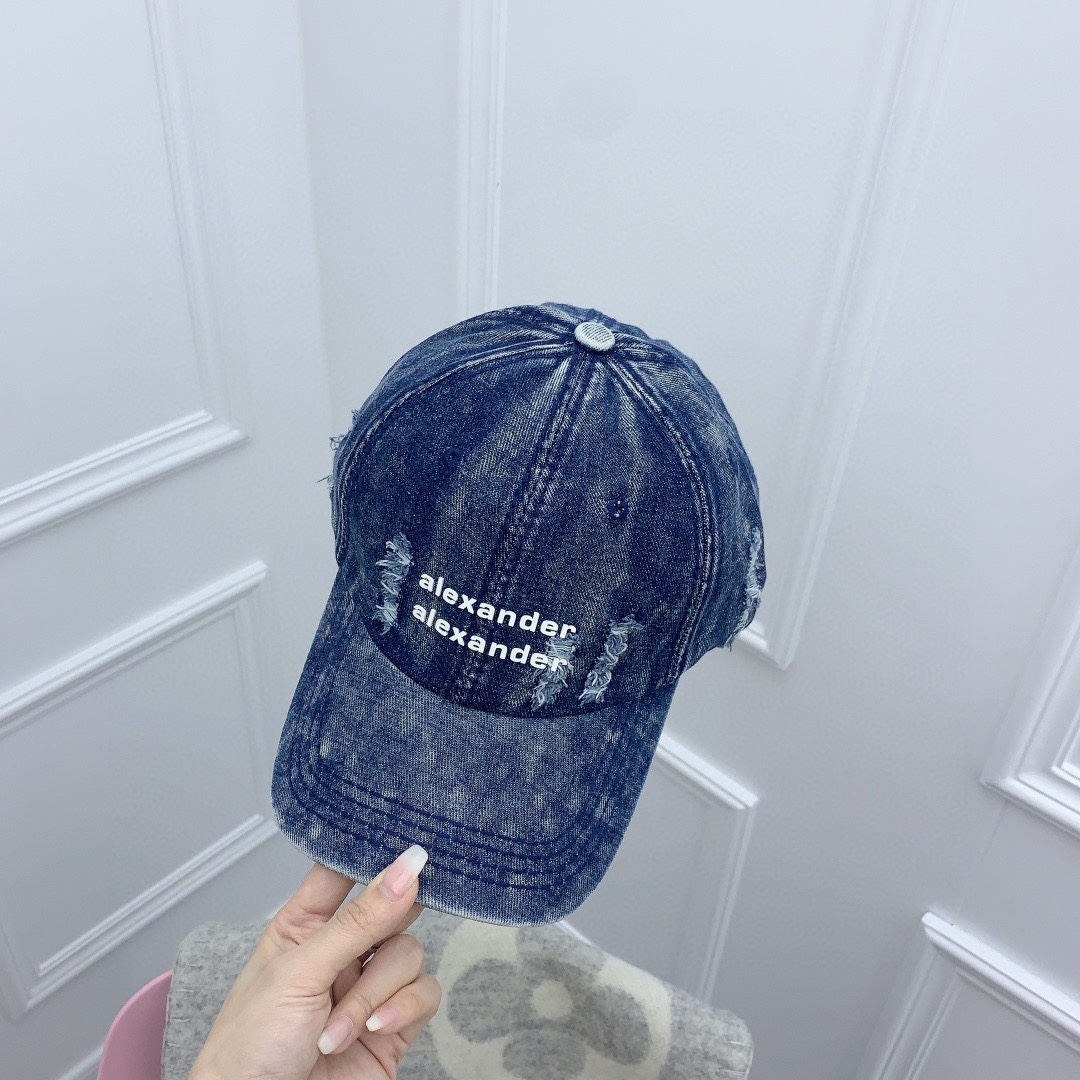 Streetwear Hat Alexander wang 328886 - vstockx