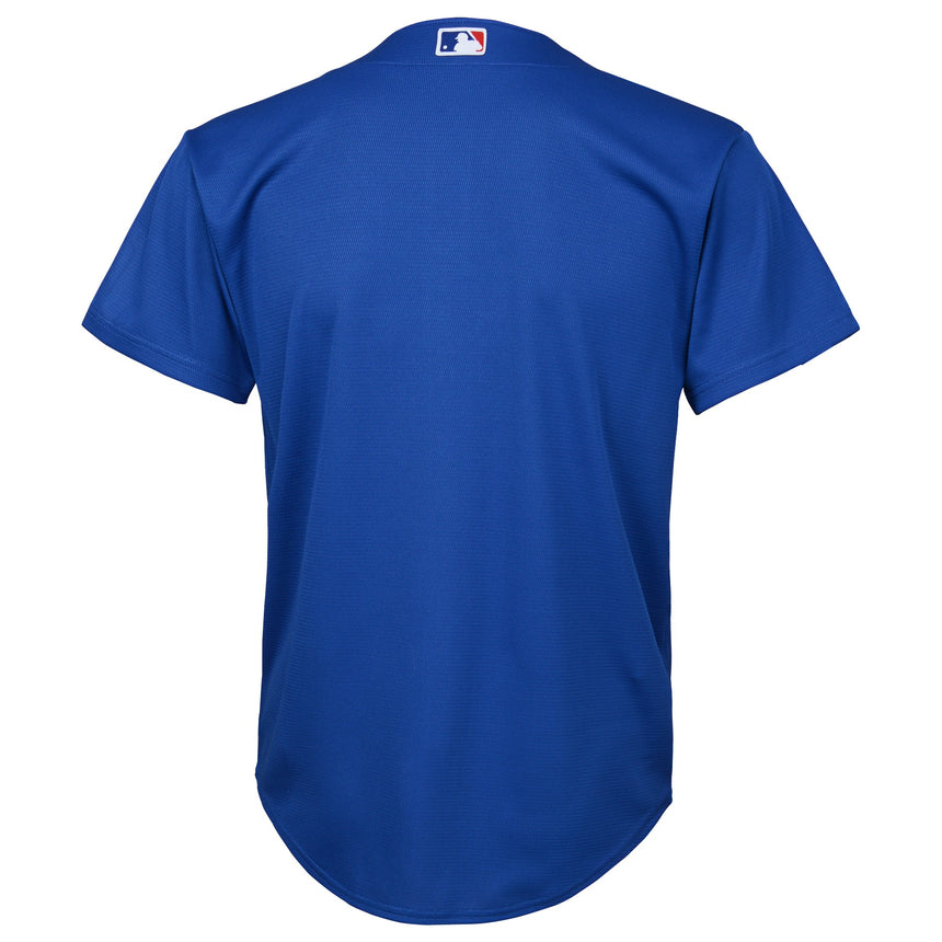 Youth Chicago Cubs BLUE Alternate Replica Team Jersey - vstockx
