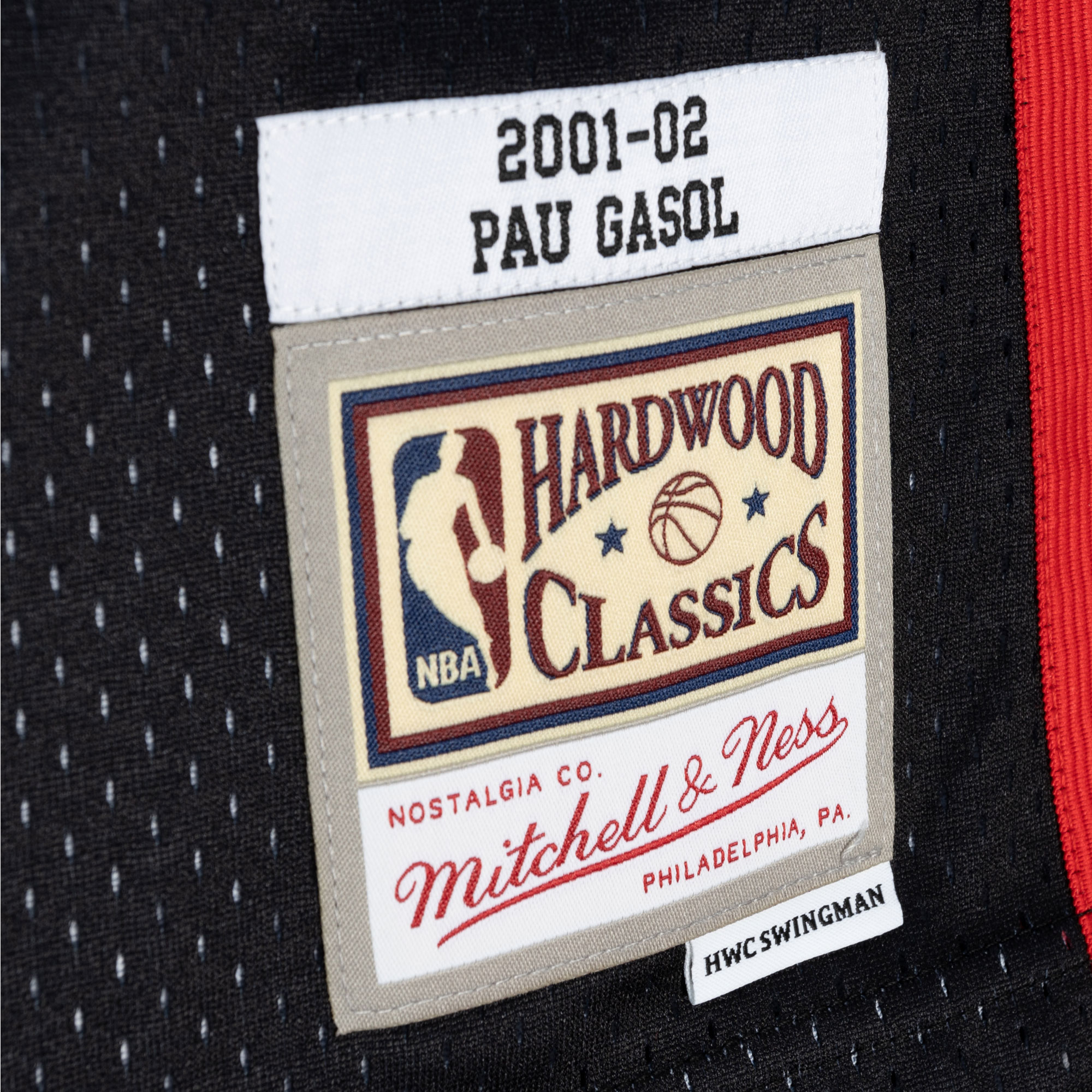 Pau Gasol Memphis Grizzlies Mitchell & Ness Hardwood Classics 2001/02 Split Swingman Jersey - Black/Turquoise - vstockx