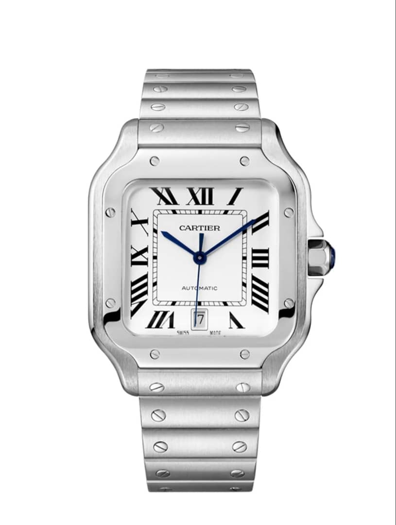 Watches Cartier santos de WSSA0009 - vstockx