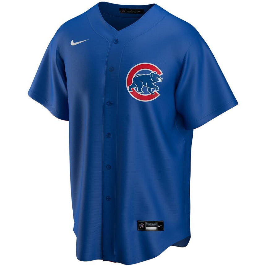 Men's Anthony Rizzo Chicago Cubs Blue Alternate Replica Jersey - vstockx