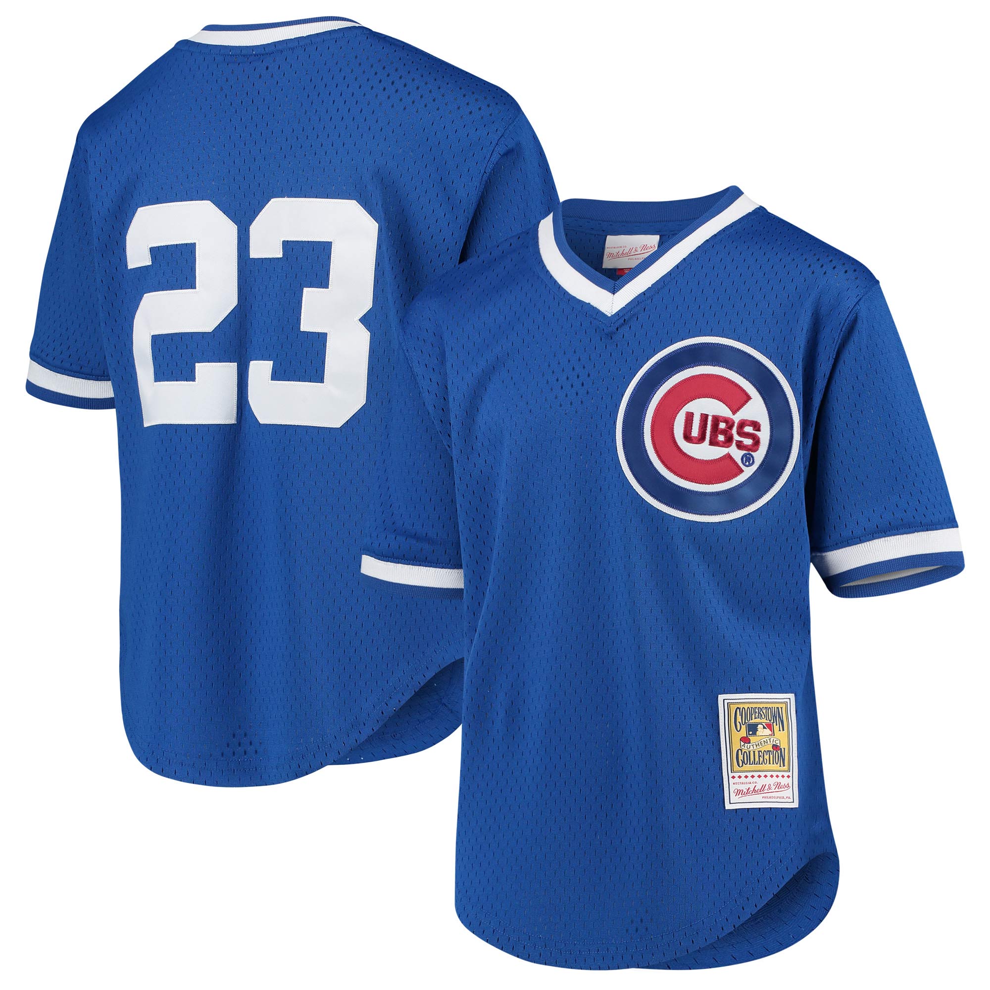 Ryne Sandberg Chicago Cubs Mitchell & Ness Youth Cooperstown Collection Mesh Batting Practice Jersey - Royal - vstockx
