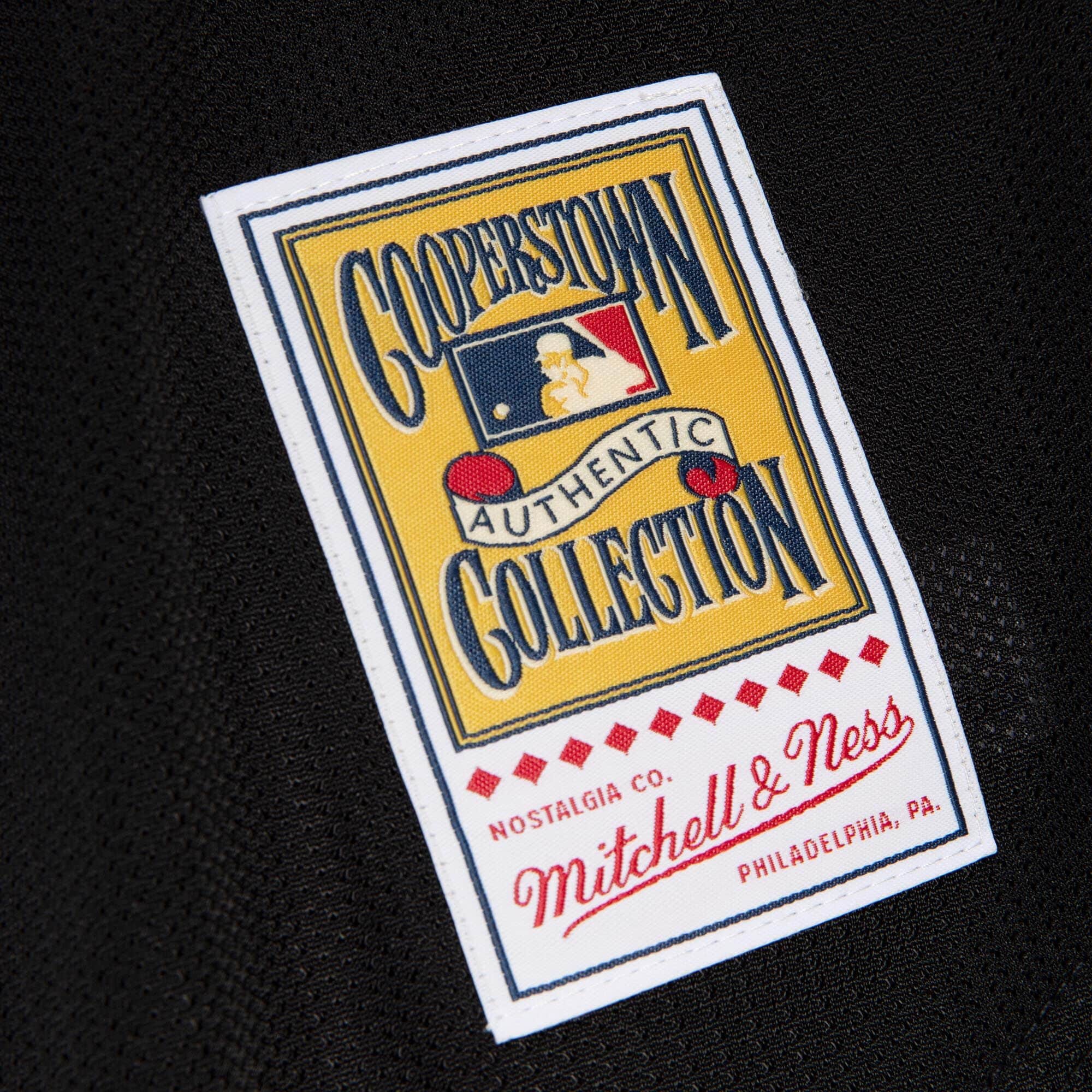 Authentic Mike Piazza New York Mets 2000 Button Front Jersey - vstockx