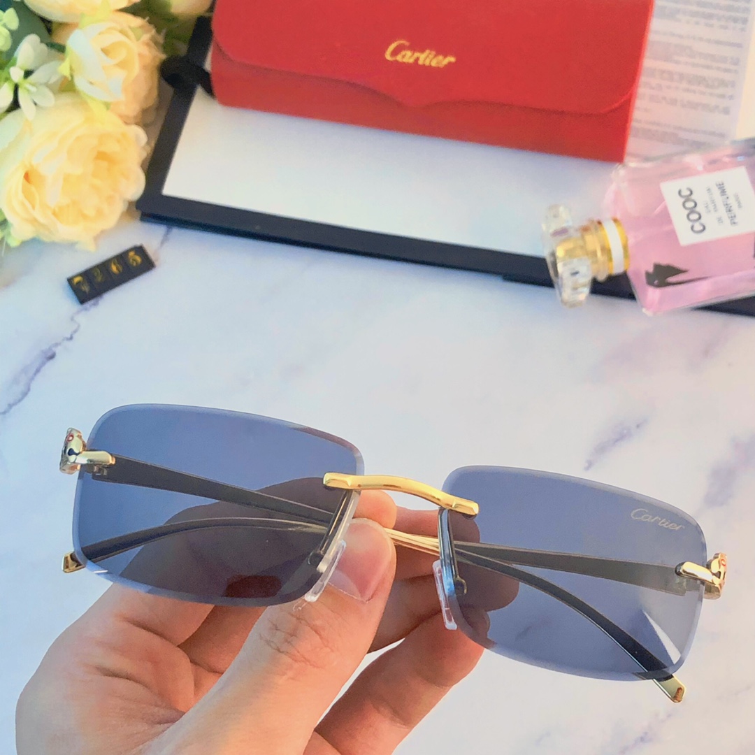 Sunglasses Cartier sunglasses - vstockx