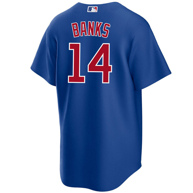 Youth Chicago Cubs Ernie Banks Replica Alternate Jersey - Royal - vstockx