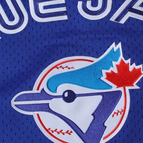 Joe Carter Toronto Blue Jays Mitchell & Ness 1993 Authentic Cooperstown Collection Mesh Batting Practice Jersey - Royal - vstockx