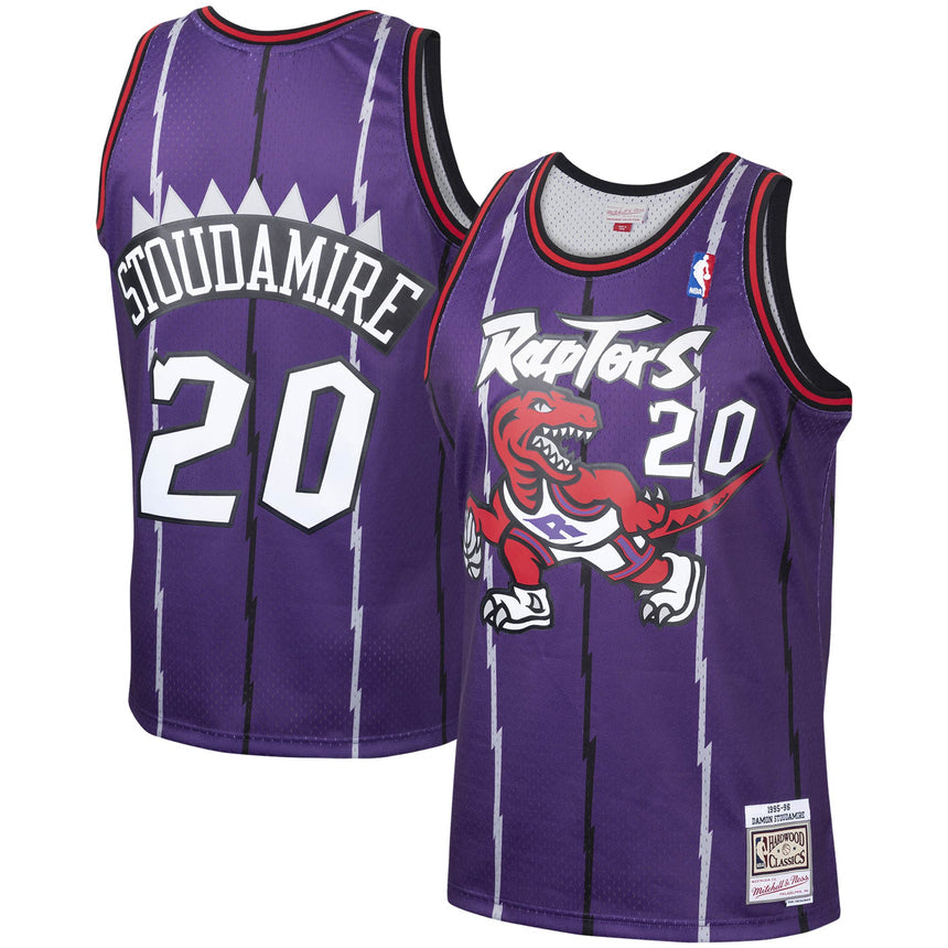 Men's Damon Stoudamire Toronto Raptors Mitchell & Ness 1995-96 Hardwood Classics Swingman Jersey - Purple - vstockx
