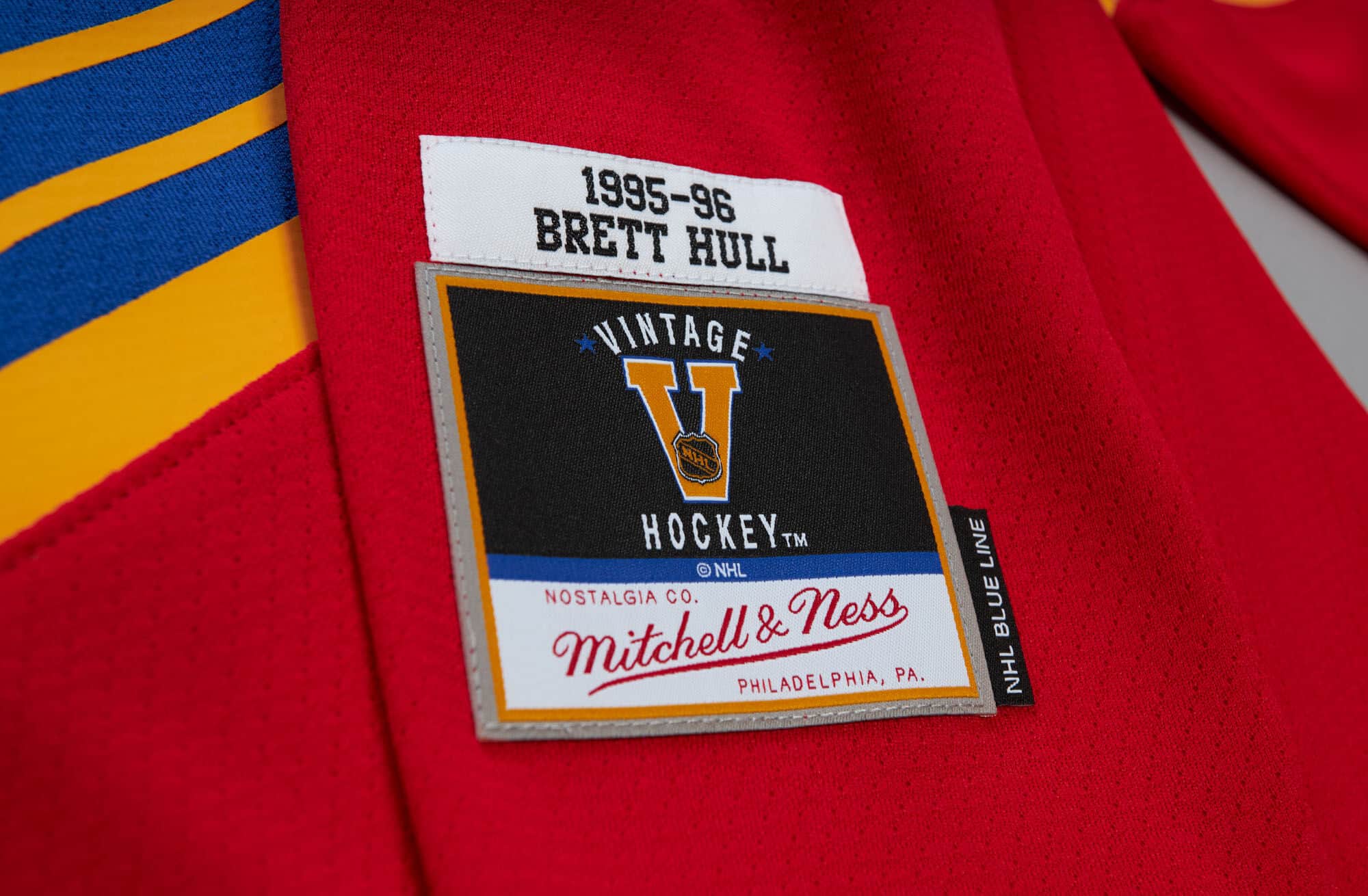 Blue Line Brett Hull St. Louis Blues 1995 Jersey - vstockx