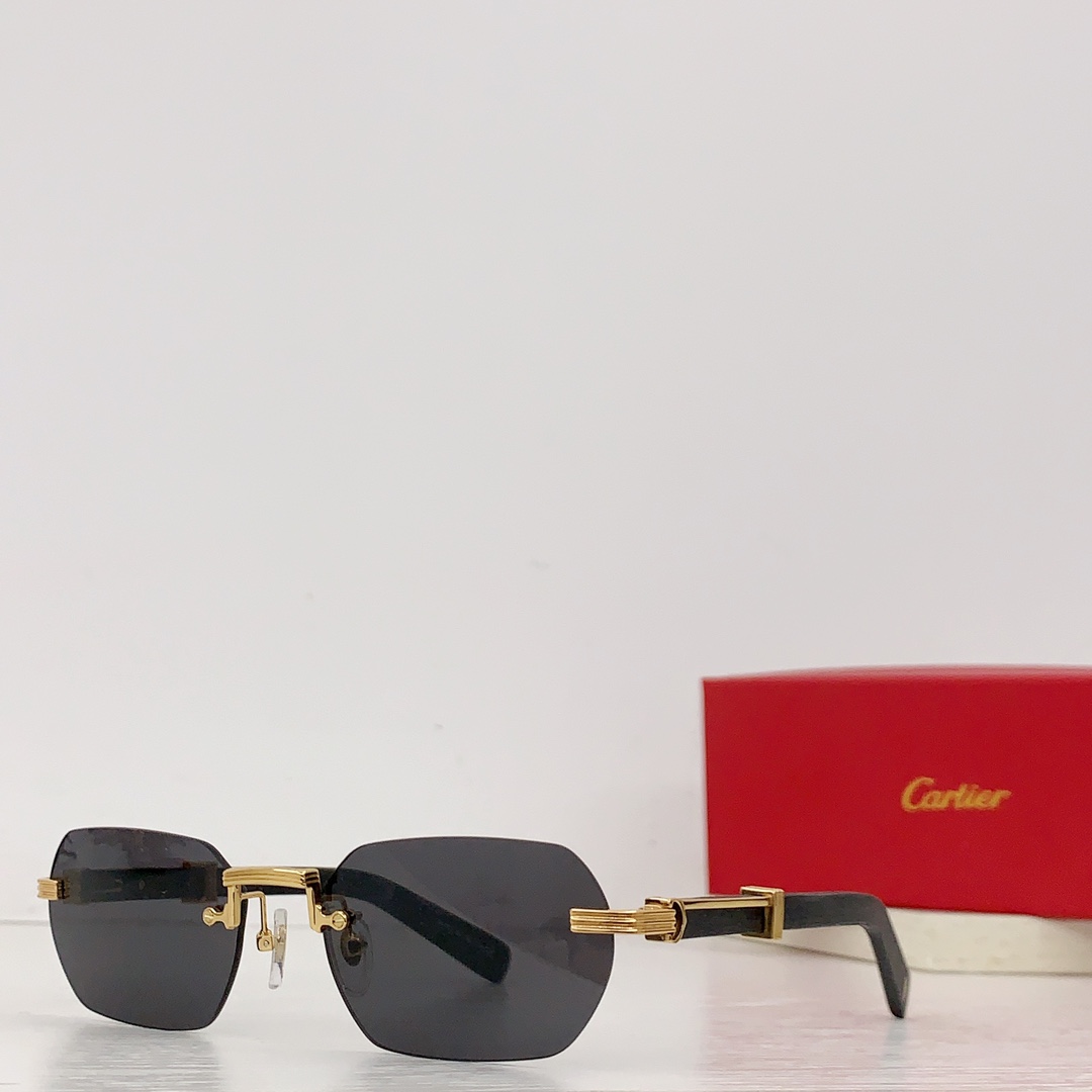Sunglasses Cartier CT0362S size��55-21-145 - vstockx