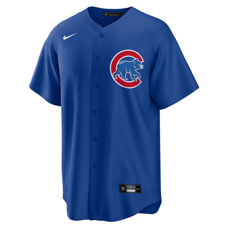 Youth Chicago Cubs Ernie Banks Replica Alternate Jersey - Royal - vstockx