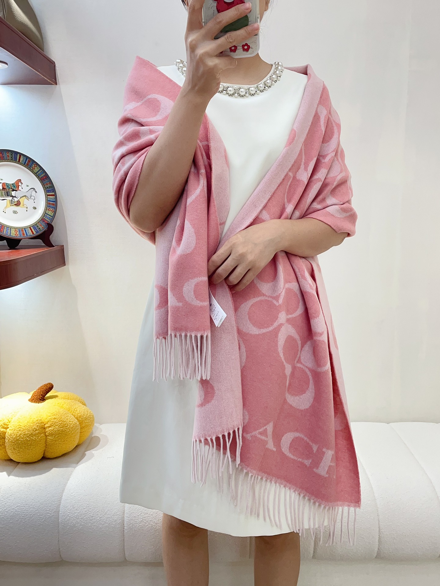 Streetwear Scarf COACH 328772 SIZE:195×53cm - vstockx