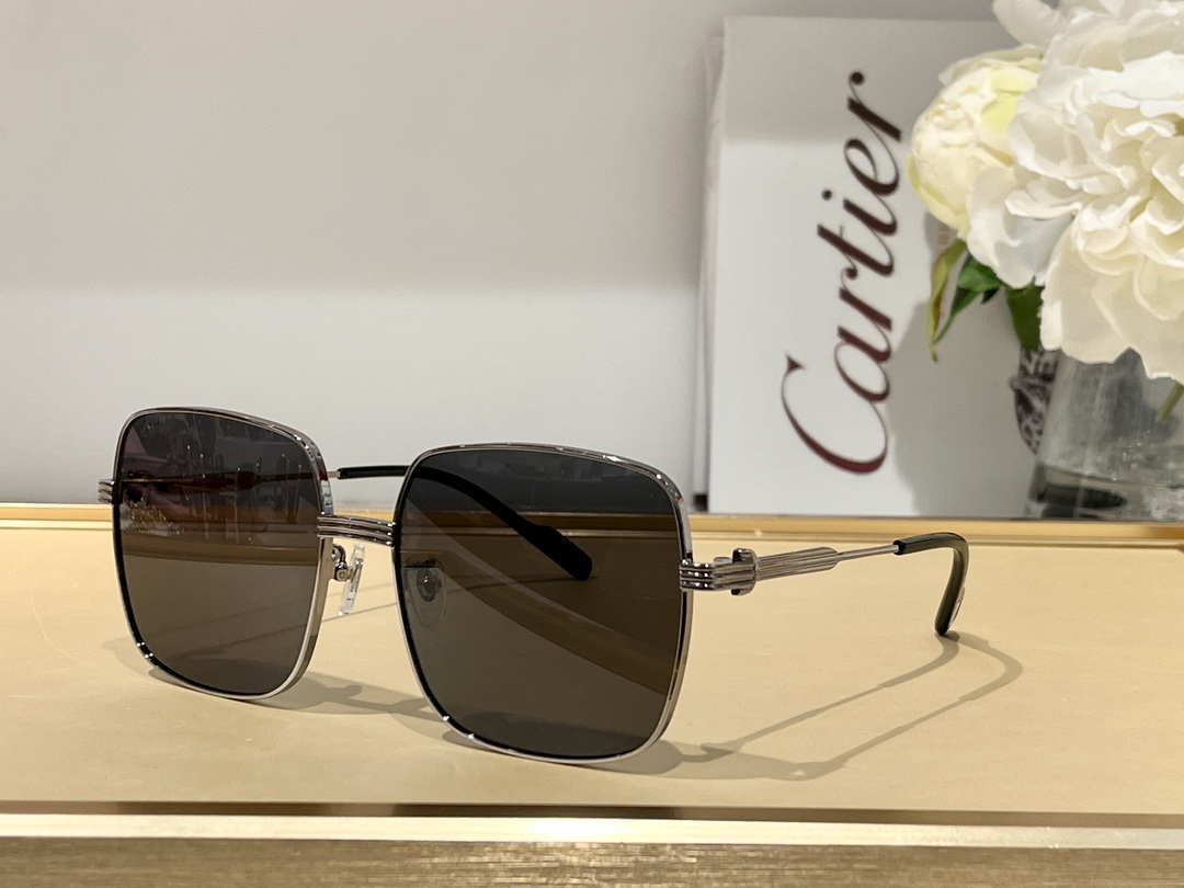 Sunglasses Cartier CT0304 SIZE��59 17-145 - vstockx
