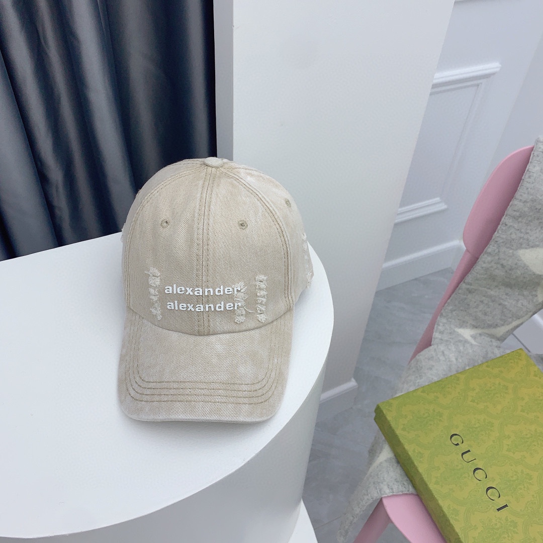 Streetwear Hat Alexander wang 328886 - vstockx