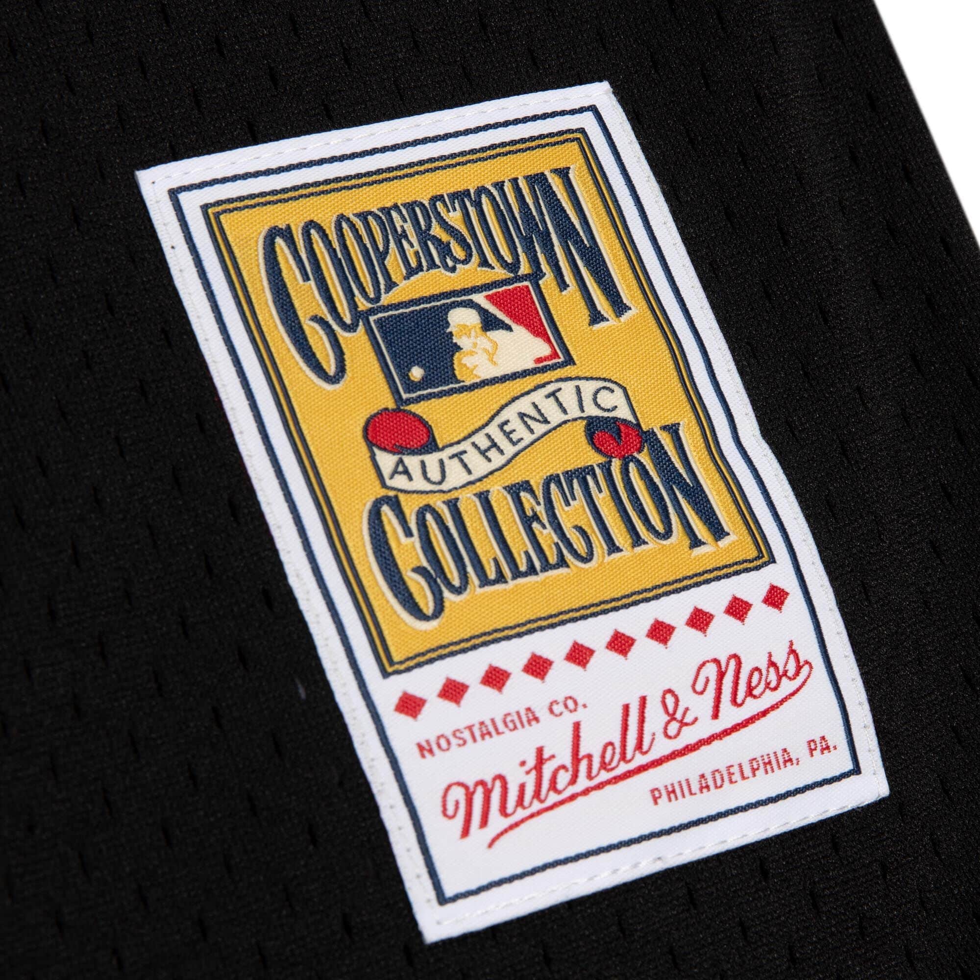 Authentic Randy Johnson Arizona Diamondbacks 1999 Button Front Jersey - vstockx